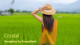  Presentation with rice field - Slides consisting of tourist-woman-in-rice-field background and a tawny brown colored foreground