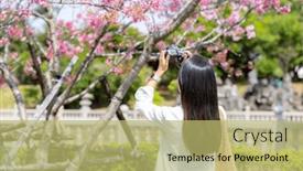  Presentation with sakura - Presentation having tourist-woman-use-digital-camera background and a yellow colored foreground