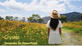  Presentation with lily flower - PPT layouts featuring tourist-woman-visit-taimali background and a tawny brown colored foreground