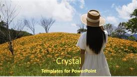  Presentation with lily flower - Presentation having tourist-woman-visit-taimali background and a tawny brown colored foreground