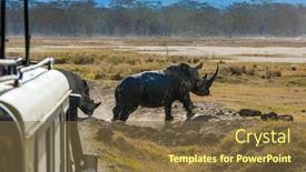  Presentation with animals habitat - Amazing slides having tourists-photographing-wild-animals backdrop and a tawny brown colored foreground