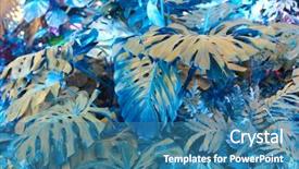  Presentation with tropical forest - Presentation theme featuring tourquise - forest with tropical monstera plants background and a teal colored foreground