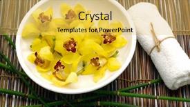  Presentation with paper towel roll - Audience pleasing PPT theme consisting of towel bamboo grove on mat backdrop and a  colored foreground