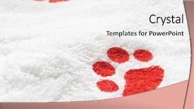  Presentation with paw print - Audience pleasing PPT layouts consisting of towel focus on dog print backdrop and a white colored foreground