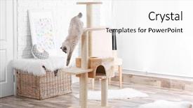  Presentation with cat - Presentation theme enhanced with towers - cute kitty on cat tree background and a white colored foreground