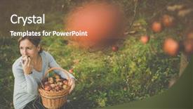 Presentation with smell - PPT layouts having toxic free - middle aged woman picking apples background and a red colored foreground