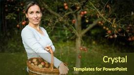  Presentation with aged - Amazing slides having toxic free - middle aged woman picking apples backdrop and a tawny brown colored foreground