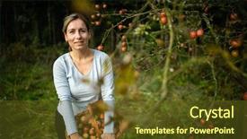  Presentation with aged - Colorful theme enhanced with toxic free - middle aged woman picking apples backdrop and a tawny brown colored foreground