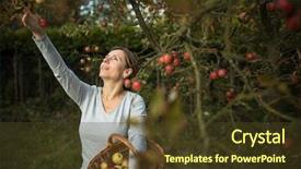  Presentation with smell - Audience pleasing PPT layouts consisting of toxic free - middle aged woman picking apples backdrop and a tawny brown colored foreground