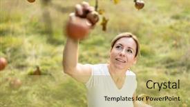  Presentation with aged - PPT theme with toxic free - middle aged woman picking apples background and a yellow colored foreground