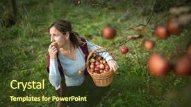  Presentation with aged - Audience pleasing slide deck consisting of toxic free - middle aged woman picking apples backdrop and a tawny brown colored foreground