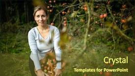  Presentation with smell - Beautiful presentation theme featuring toxic free - middle aged woman picking apples backdrop and a tawny brown colored foreground