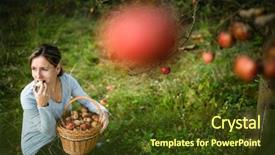 Presentation with smell - PPT theme enhanced with toxic free - middle aged woman picking apples background and a tawny brown colored foreground