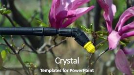  Presentation with toxic work environment - PPT theme enhanced with toxic work environment - sprayer for the garden background and a tawny brown colored foreground