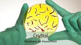  Presentation with petri dish - Amazing presentation design having toxin - scientist holding a petri dish backdrop and a ocean colored foreground