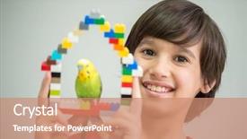  Presentation with parrot - Colorful presentation design enhanced with toy blocks - kid playing with his pet backdrop and a  colored foreground