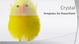  Presentation with celebrations - Audience pleasing PPT layouts consisting of toy chick for easter celebrations backdrop and a white colored foreground