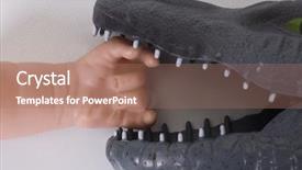  Presentation with jaw - Beautiful slide deck featuring toy crocodile holding a doll's hand in jaw backdrop and a coral colored foreground