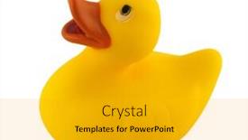  Presentation with duck - Slides enhanced with toy duck background and a gold colored foreground