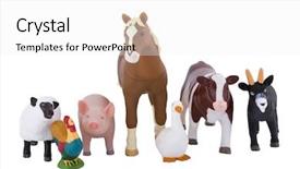  Presentation with animals - Presentation theme consisting of toy farm animals background and a white colored foreground