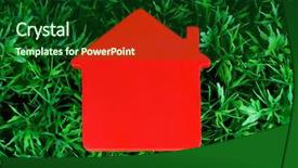  Presentation with house fly insect close up - Slides consisting of toy house on grass background close-up background and a forest green colored foreground