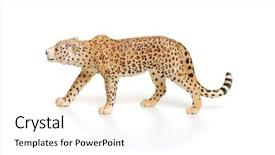  Presentation with toy - Presentation featuring toy jaguar isolated on white background background and a white colored foreground