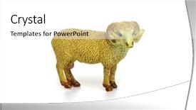  Presentation with blank whiteboard isolated on white - Slide set enhanced with toy ram isolated on white background and a white colored foreground