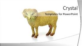  Presentation with monarch butterfly isolated on white - Beautiful slide deck featuring toy ram isolated on white backdrop and a white colored foreground