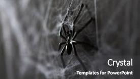  Presentation with spider - Audience pleasing presentation design consisting of toy spider on artificial cobweb backdrop and a  colored foreground