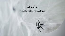  Presentation with scary halloween - Colorful slide set enhanced with toy spider on artificial cobweb backdrop and a  colored foreground