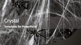  Presentation with horror - Cool new presentation with toy spiders on artificial cobweb backdrop and a  colored foreground
