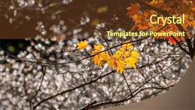  Presentation with japan sakura - Beautiful PPT layouts featuring toyota - autumn background red leave backdrop and a tawny brown colored foreground