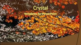  Presentation with japan sakura - Colorful PPT theme enhanced with toyota - autumn background red leave backdrop and a tawny brown colored foreground
