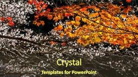  Presentation with japan sakura - Colorful PPT theme enhanced with toyota - autumn background red leave backdrop and a tawny brown colored foreground