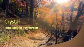  Presentation with mangrove forest mangrove in asia - Amazing PPT theme having toyota - korankei forest autumn park nagoya backdrop and a tawny brown colored foreground