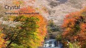  Presentation with summer winter autumn spring - Amazing theme having toyota - nagoya obara autumn landscape backdrop and a coral colored foreground