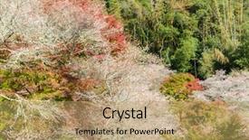  Presentation with sakura - Beautiful presentation theme featuring toyota - nagoya obara autumn landscape backdrop and a  colored foreground