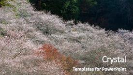  Presentation with sakura - Colorful PPT theme enhanced with toyota - nagoya obara autumn landscape backdrop and a  colored foreground