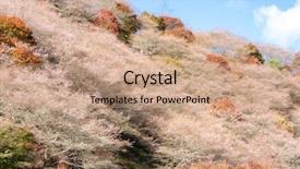  Presentation with sakura - Theme featuring toyota - nagoya obara autumn landscape background and a coral colored foreground