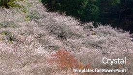  Presentation with summer winter autumn spring - Slides enhanced with toyota - nagoya obara autumn landscape background and a  colored foreground
