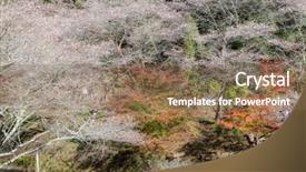  Presentation with sakura - Audience pleasing slides consisting of toyota - nagoya obara autumn landscape backdrop and a  colored foreground