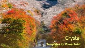  Presentation with sakura - Slide deck enhanced with toyota - nagoya obara autumn landscape background and a tawny brown colored foreground