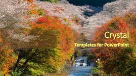  Presentation with sakura - PPT theme having toyota - nagoya obara autumn landscape background and a tawny brown colored foreground