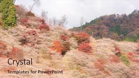  Presentation with summer winter autumn spring - Cool new PPT theme with toyota - nagoya obara autumn landscape backdrop and a  colored foreground