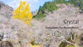  Presentation with landscape maintenance vehicle - PPT layouts featuring toyota - nagoya obara autumn landscape background and a light gray colored foreground