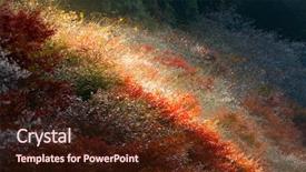  Presentation with landscape gardening - Beautiful theme featuring toyota - nagoya obara autumn landscape backdrop and a  colored foreground