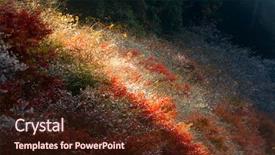  Presentation with sakura - Colorful slide deck enhanced with toyota - nagoya obara autumn landscape backdrop and a tawny brown colored foreground