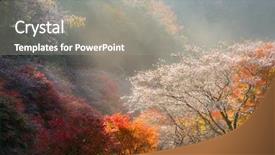  Presentation with landscape juridicila - Audience pleasing presentation consisting of toyota - nagoya obara autumn landscape backdrop and a gray colored foreground