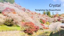  Presentation with summer winter autumn spring - PPT theme enhanced with toyota - nagoya obara autumn landscape background and a light blue colored foreground