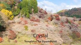  Presentation with sakura - Audience pleasing slide deck consisting of toyota - nagoya obara autumn landscape backdrop and a coral colored foreground